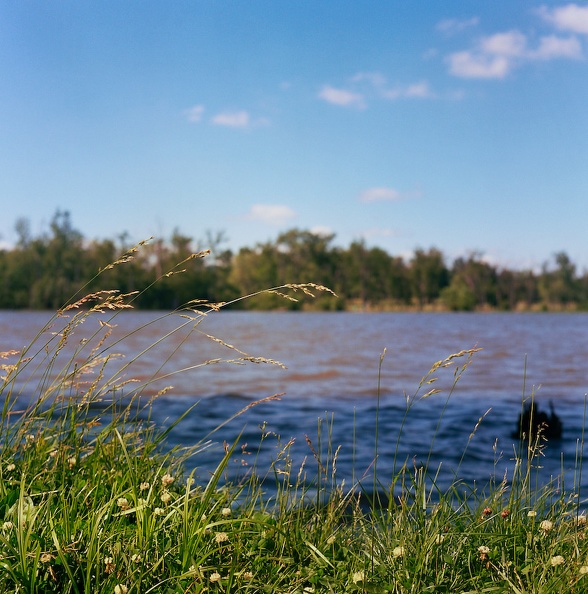 02_Fishing in Jackson Park_ Spring 2010.jpg